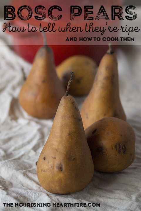 Bosc Pears (how to tell when they're ripe, and how to cook them) – The  Nourishing Hearthfire