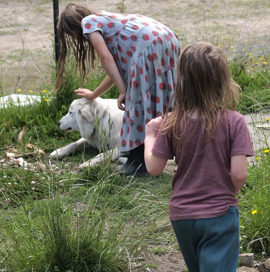 maremma dog with children in garden