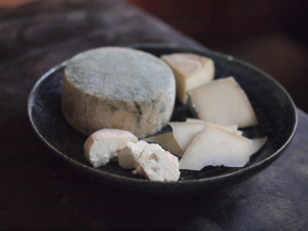 homemade goat cheeses on plate